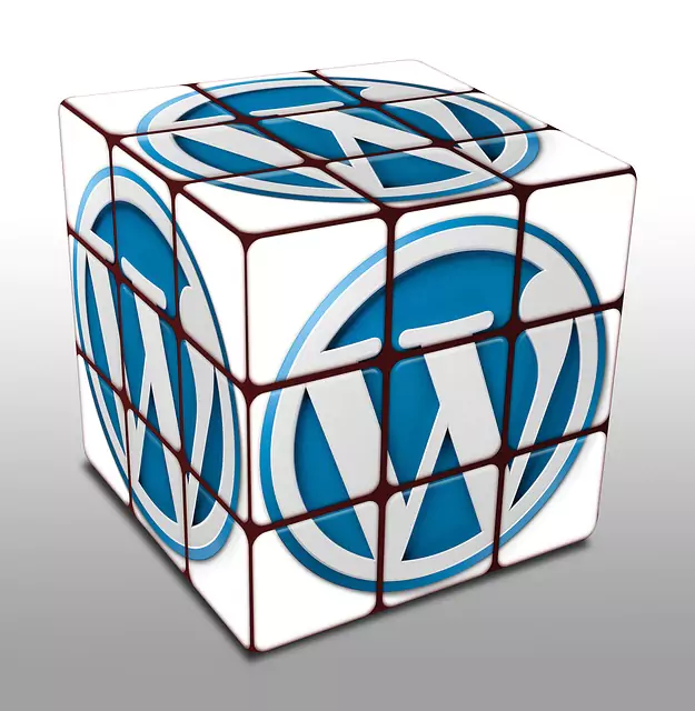 A blue and white color 3D icon of WordPress